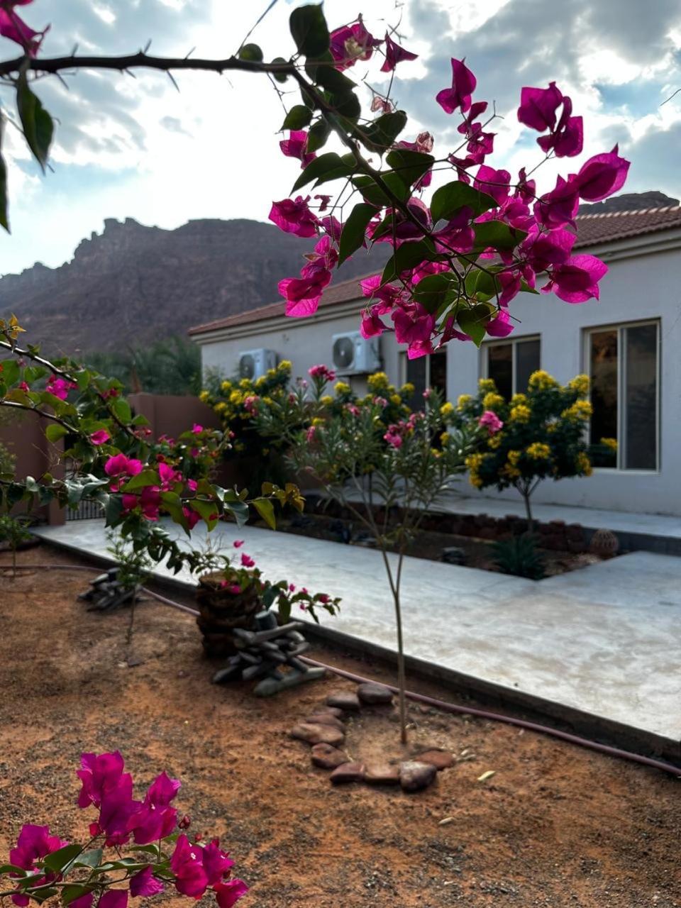 فيلا بمزرعة Al Ula Exterior photo